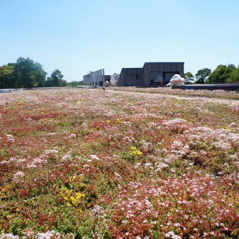 EHPAD DE LANVAUX